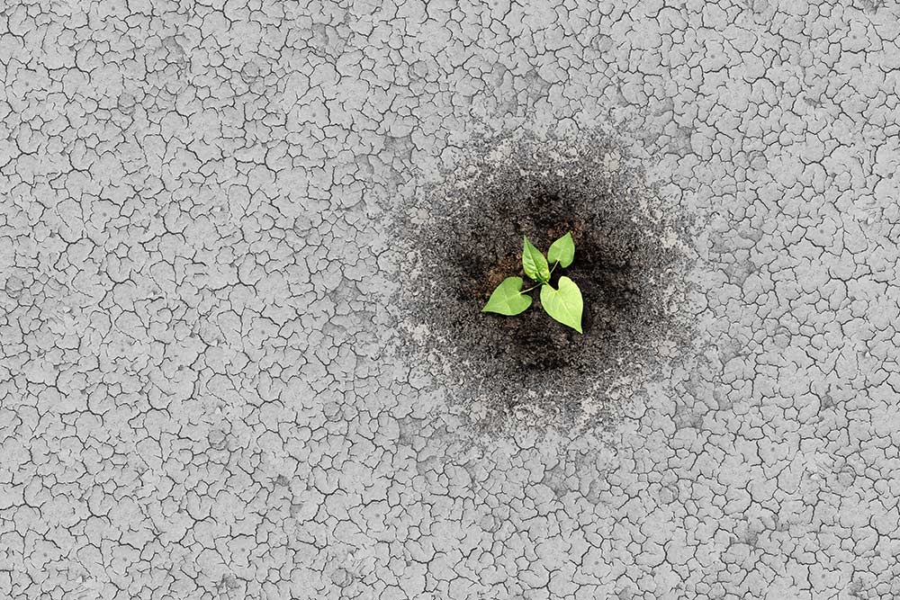Climate Change Crisis